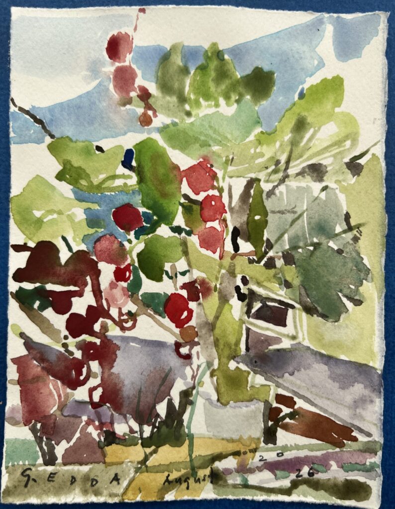 Aquarell, "Naddas Johannisbeergarten", August 2026